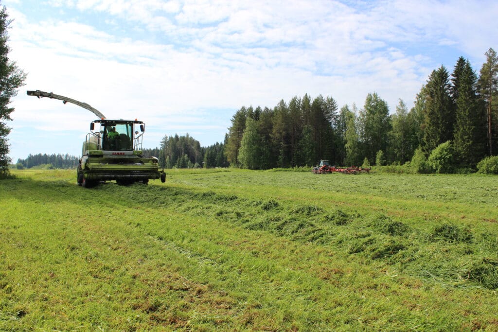 Säilörehun korjuussa käytetään erilaisia koneita. Etualalla ajosilppuri ja taaempana traktori ja karhoitin.